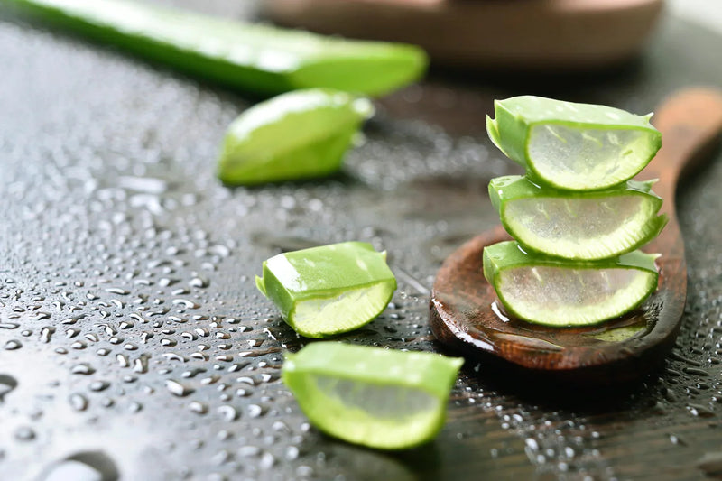 💧 The Science of Aloe Vera in Your Daily Bath