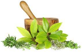 Mahanarayan Oil: Natural Recovery for Joints, Muscles & Mobility