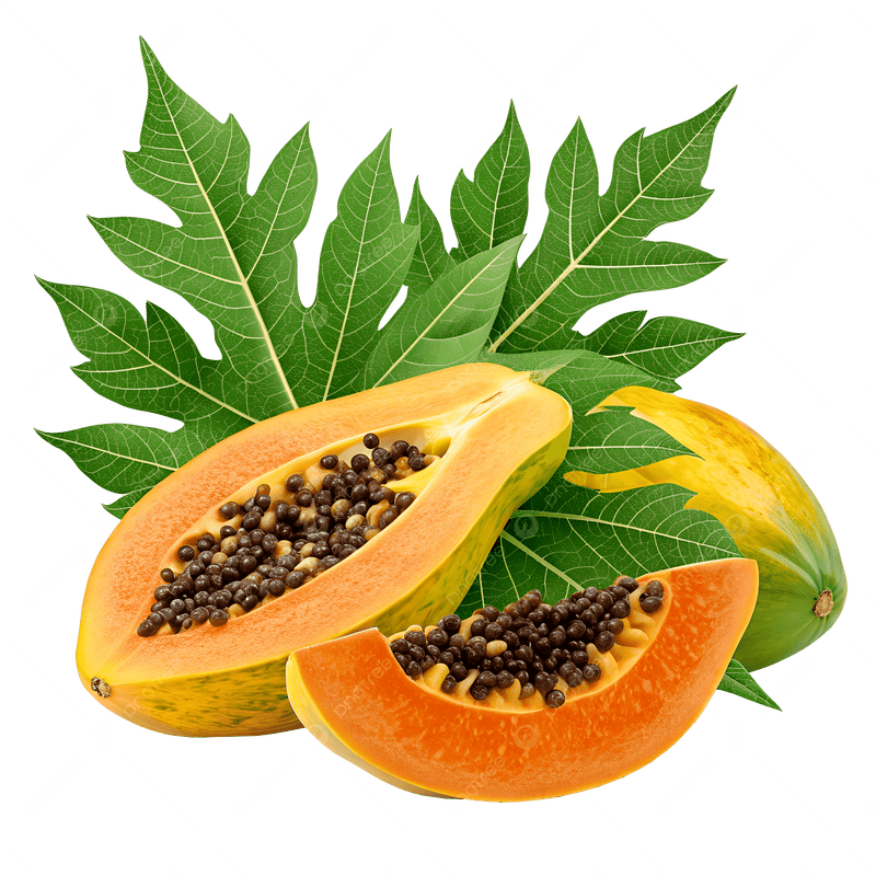 Natural Support for Healthy Platelet Levels & Daily Immunity