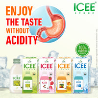ICEE Strawberry Herbal Antacid Syrup  | Ayurvedic Relief for Acidity, Heartburn & Indigestion | Amla & Guduchi Digestive Blend ( pack of 2 )
