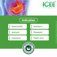 ICEE Mango Herbal Antacid Syrup  | Ayurvedic Relief for Acidity, Heartburn & Indigestion | Amla & Guduchi Digestive Blend ( pack of 2 )