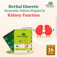 Stenovilla Herbal Tablets for Kidney Stones, Burning Urination & UTI Relief – 30 Tablets ( Pack of 2)